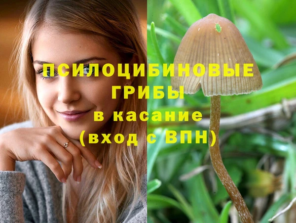 PSILOCYBIN Касимов