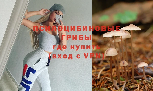 бутират Каменск-Шахтинский