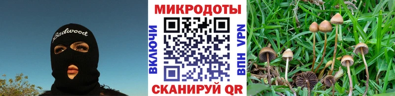 Псилоцибиновые грибы мицелий  Комсомольск 