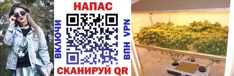 продажа наркотиков  Комсомольск  Бошки марихуана THC 21% 